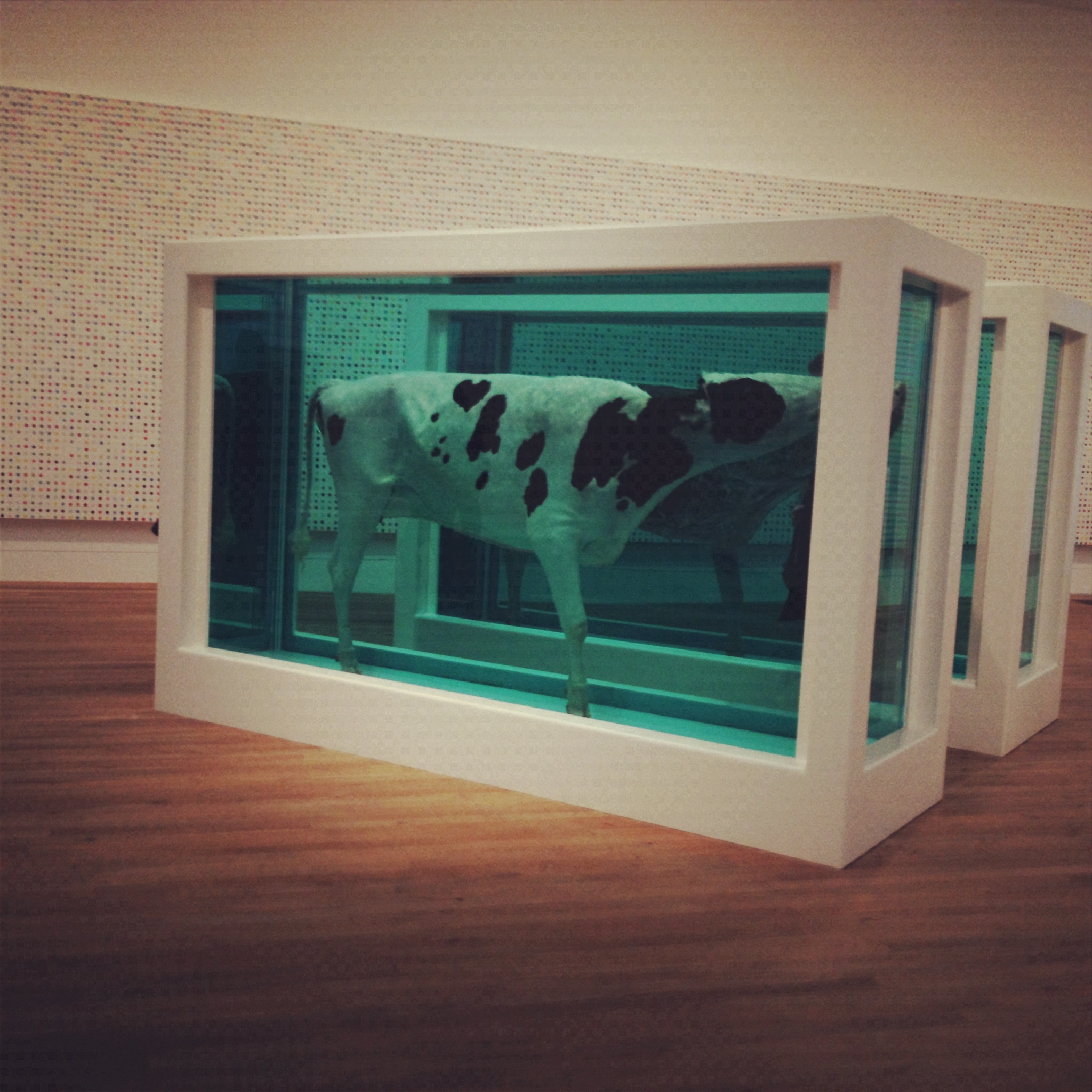 expo damien hirst