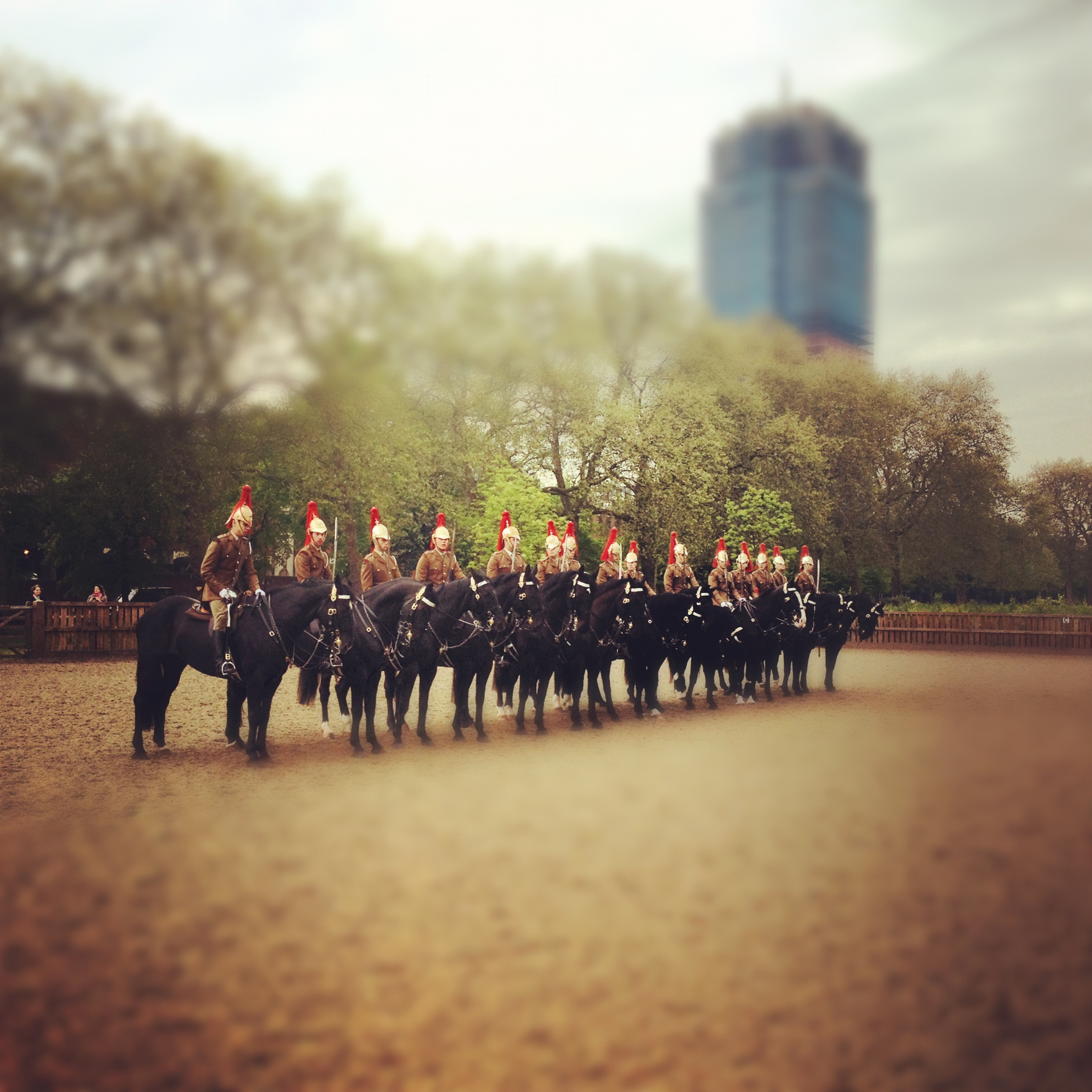 la gerde montée dans Saint James Park