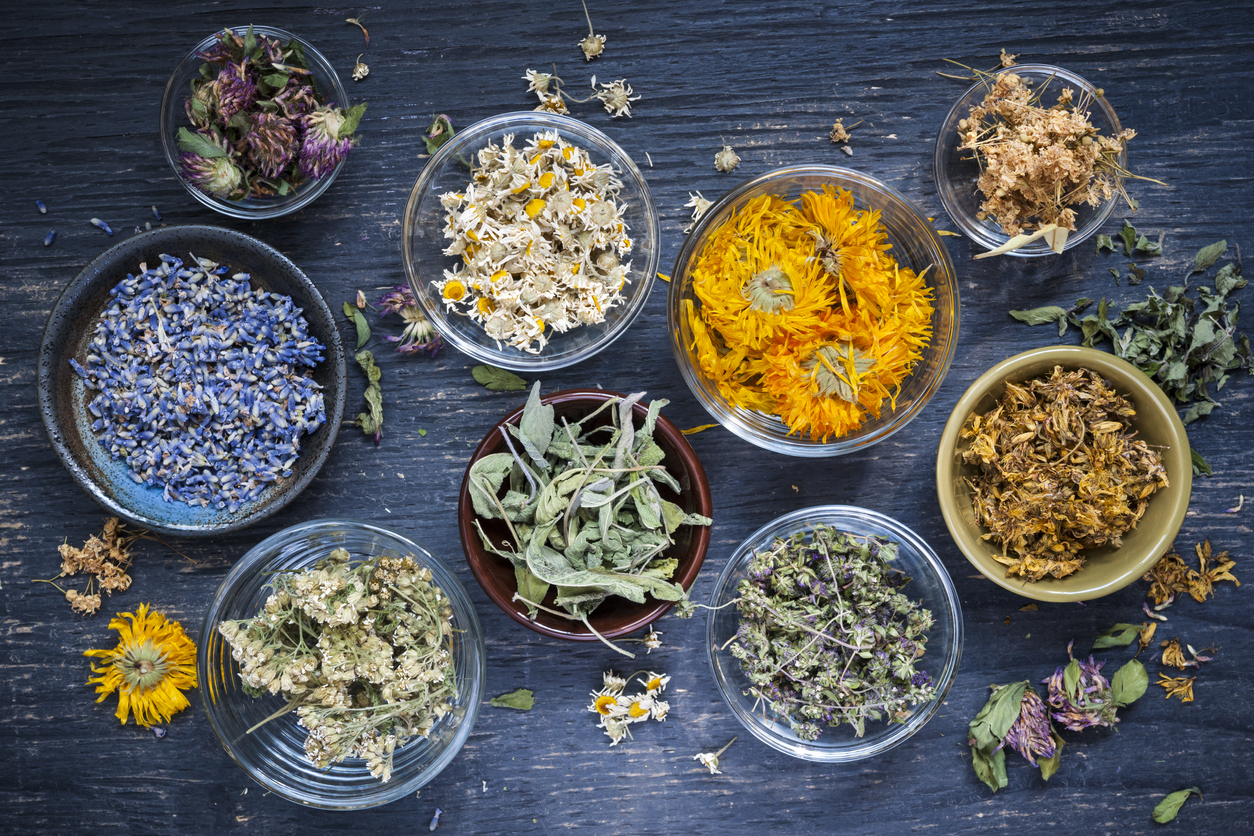 tendance-sechees-fleurs-des